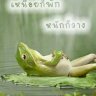 เช้าเม็ด..เย็นเม็ด